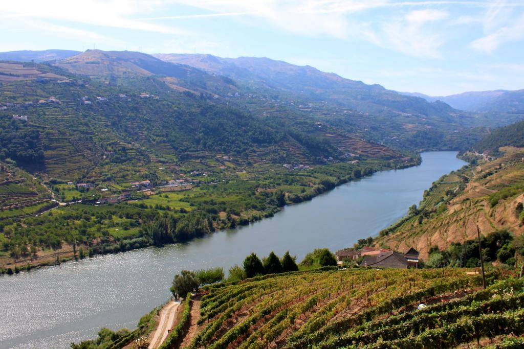 Camping Lamego Douro Valley Esterno foto