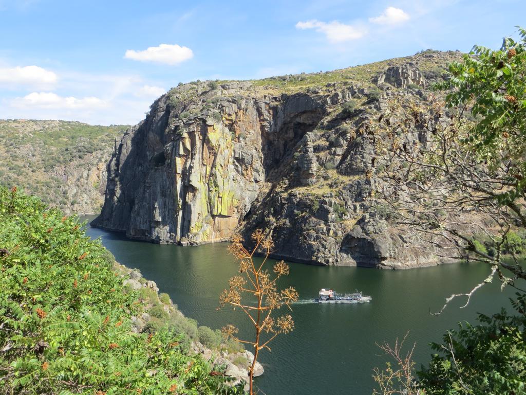 Camping Lamego Douro Valley Esterno foto