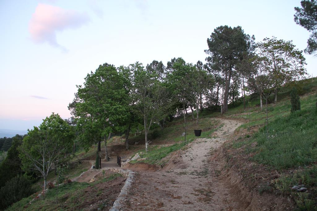 Camping Lamego Douro Valley Esterno foto