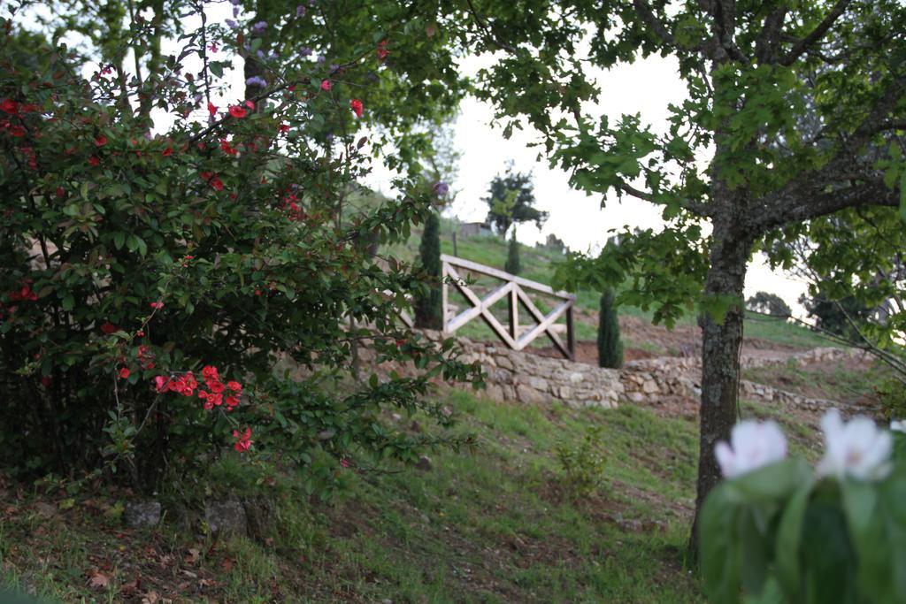 Camping Lamego Douro Valley Esterno foto