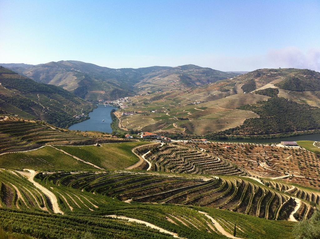 Camping Lamego Douro Valley Esterno foto